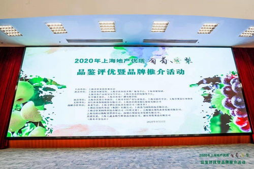 滬上佳果競芳華 地產(chǎn)葡萄蜜梨評優(yōu)活動(dòng)圓滿落幕