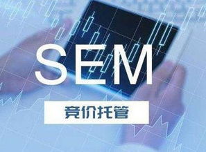 SEM競價(jià)托管服務(wù) 技術(shù)推廣的新引擎